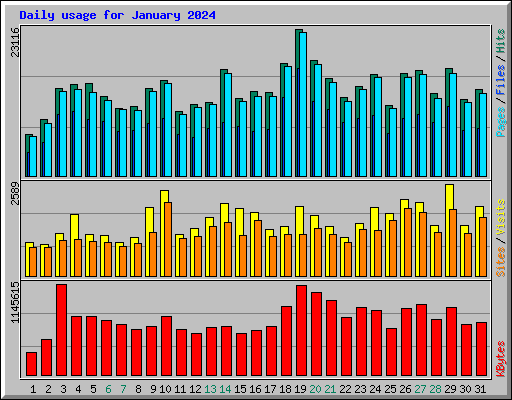 Daily usage for January 2024
