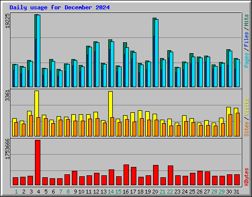 Daily usage for December 2024