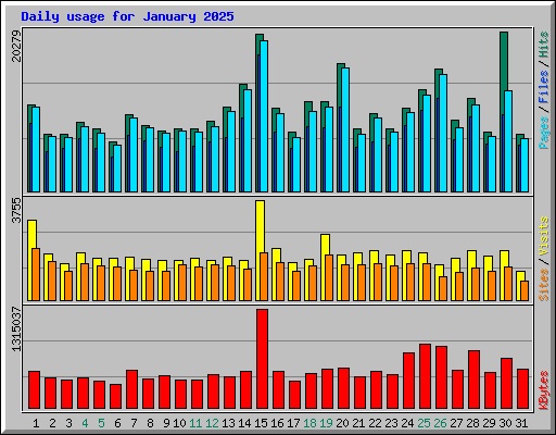 Daily usage for January 2025