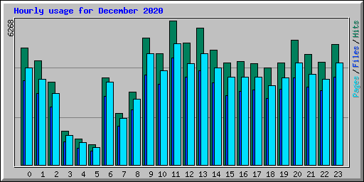 Hourly usage for December 2020