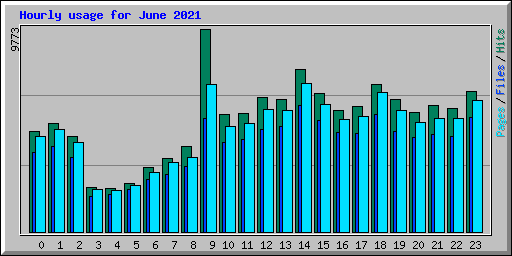 Hourly usage for June 2021