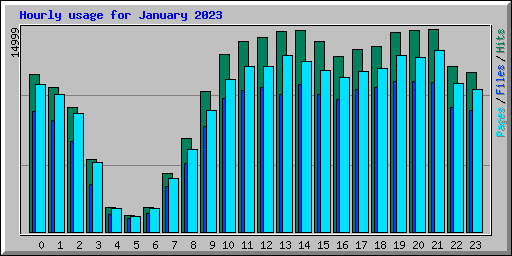 Hourly usage for January 2023