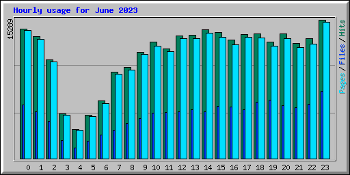 Hourly usage for June 2023