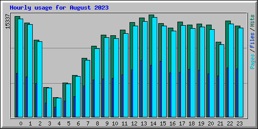 Hourly usage for August 2023