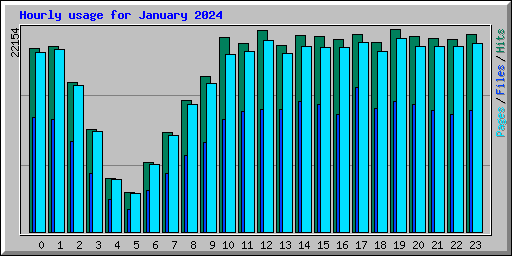 Hourly usage for January 2024