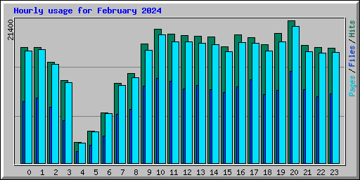 Hourly usage for February 2024