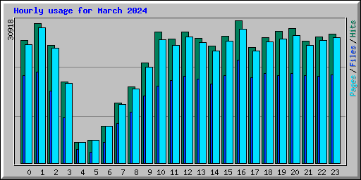 Hourly usage for March 2024