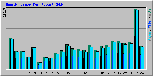 Hourly usage for August 2024