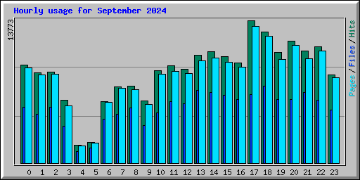 Hourly usage for September 2024