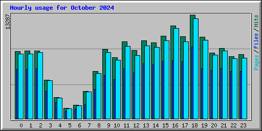 Hourly usage for October 2024