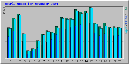 Hourly usage for November 2024
