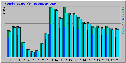 Hourly usage for December 2024