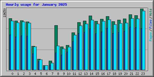 Hourly usage for January 2025