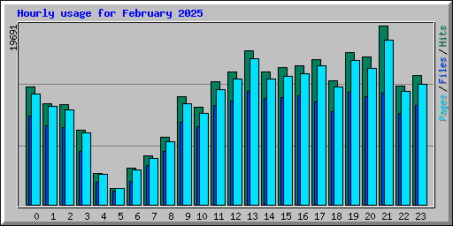 Hourly usage for February 2025