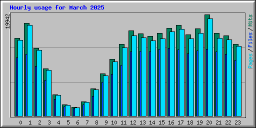 Hourly usage for March 2025