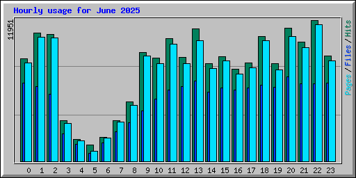 Hourly usage for June 2025