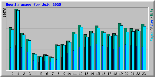 Hourly usage for July 2025