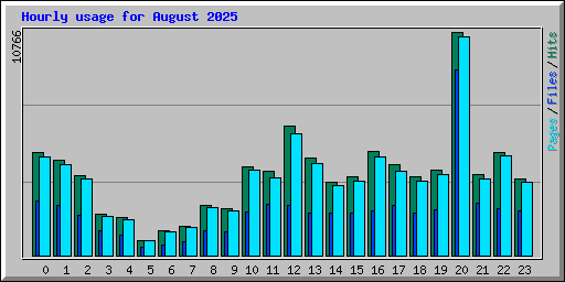 Hourly usage for August 2025