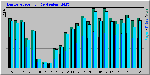 Hourly usage for September 2025
