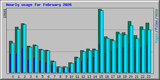 Hourly usage for February 2026