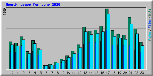Hourly usage for June 2026