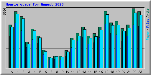 Hourly usage for August 2026
